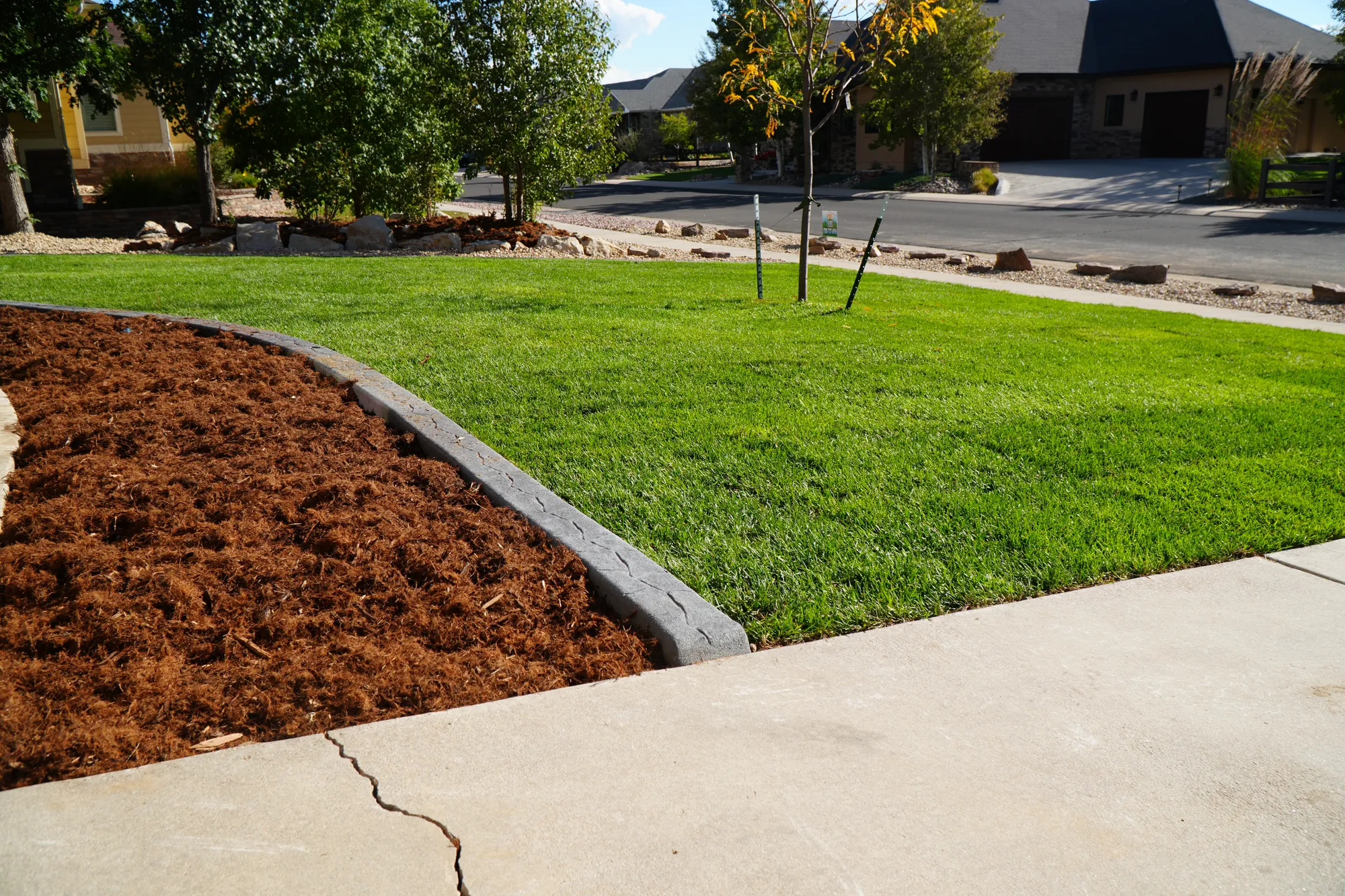 Sod Installation: new sod framed by mulch beds and decorative concrete curbing along the sidewalk