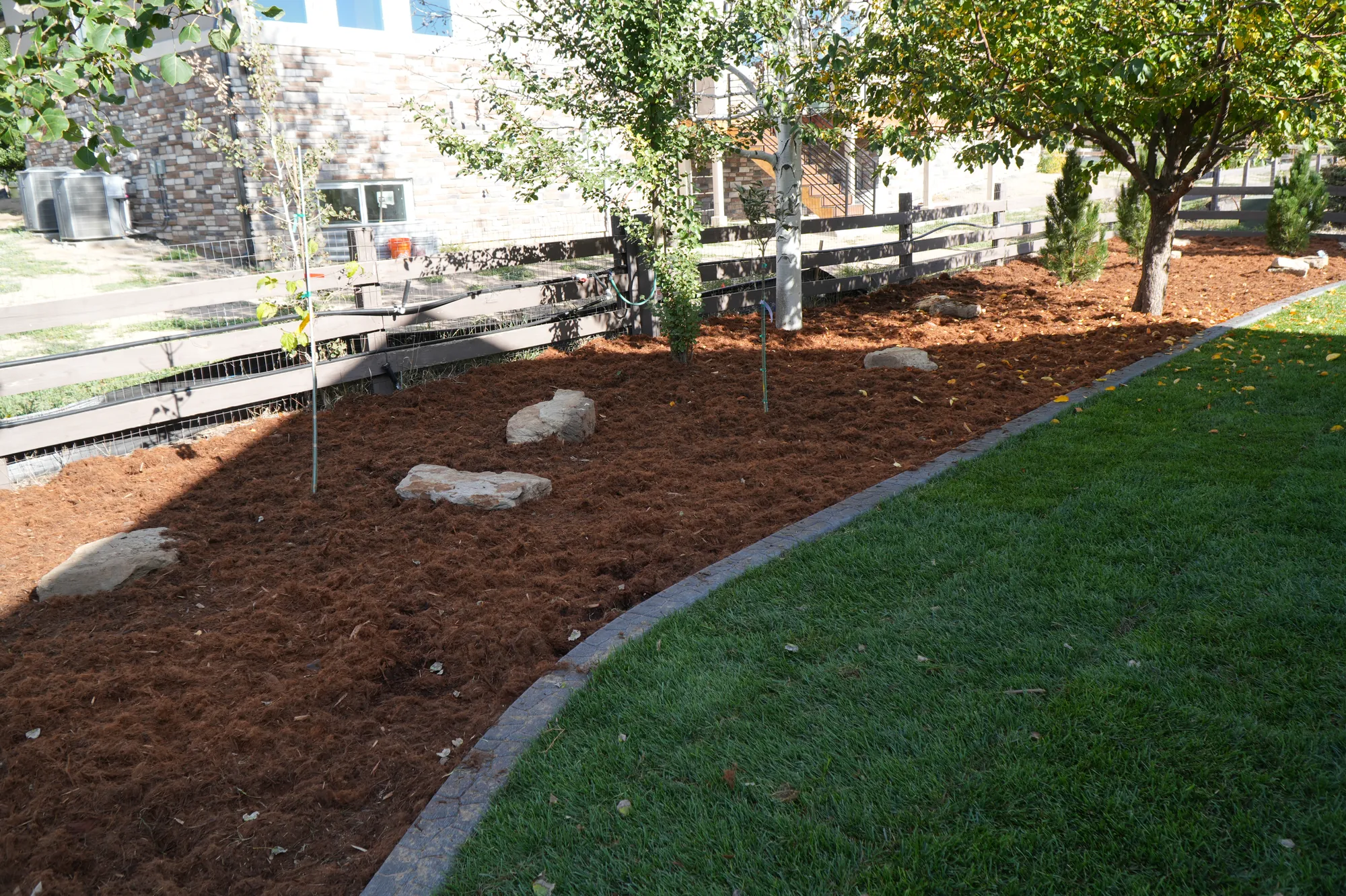 Mulch Beds: mulch bed with boulders and young trees behind a curved curb
