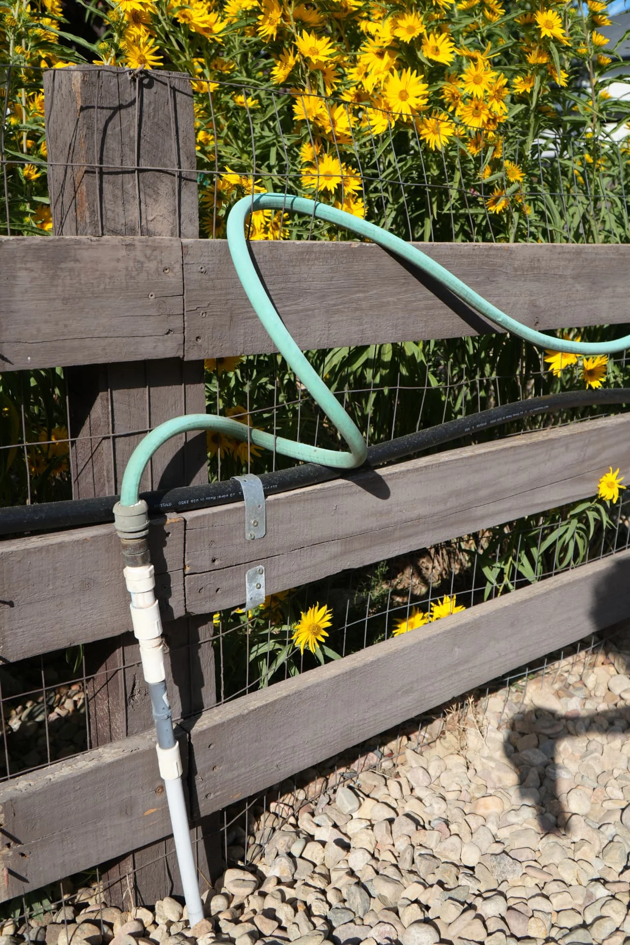 Irrigation supply line and PVC riser installed by Calaway Sprinkler