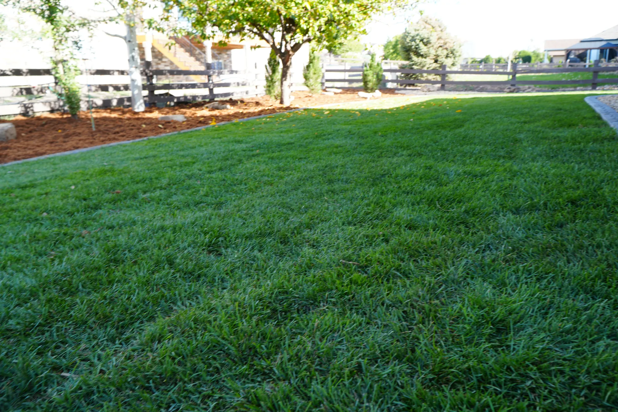 Lawn Maintenance